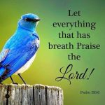 Let everything that has breath praise the Lord!