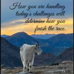 How you are handling today’s challenges will determine how you will finish the race.